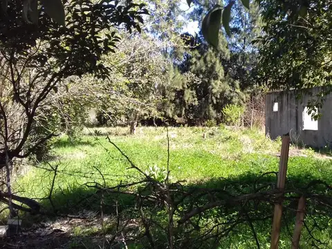 Victor Manuel Iii 1100