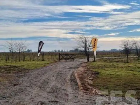 Terreno en Venta 100  mts Fondo