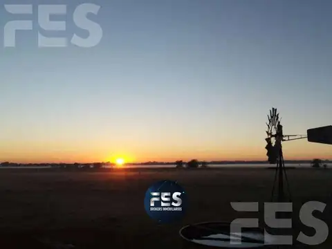 VENTA LOTE PAMPA DE SAN VICENTE 5000mts² - BARRIO DE CHACRAS