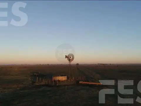 Terreno en Venta de 5000,0 m2