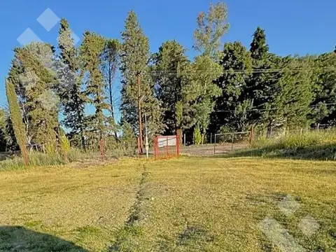 VENTA de chacra con galpòn Colonia La Picasa - Cinco Saltos