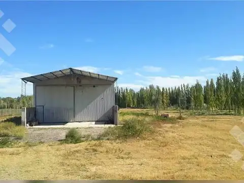 VENTA de chacra con galpòn Colonia La Picasa - Cinco Saltos
