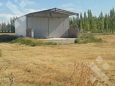 Venta de chacra con galpòn colonia la picasa - cinco saltos