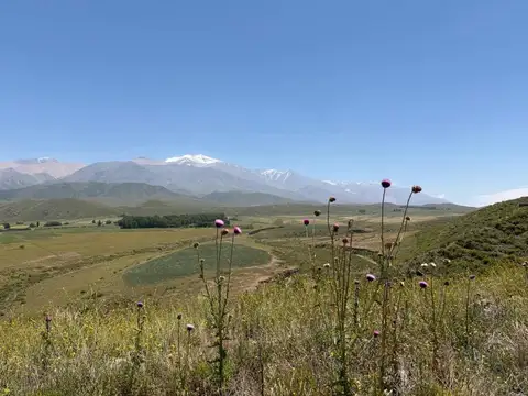 Ruta Provincial 89
