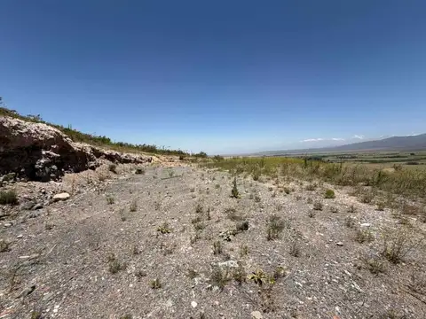 Terreno en Venta de 47000,0 m2