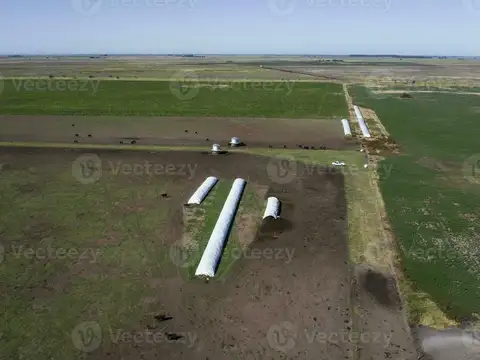 LA PAMPA 5600  Hectareas