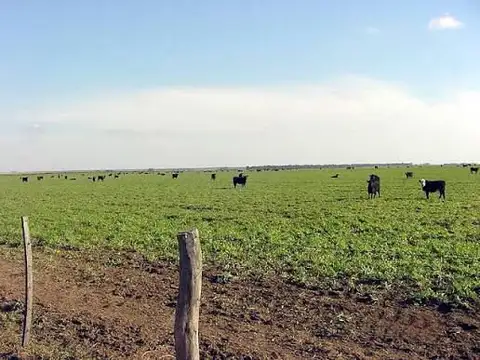 Campo en Venta de 5.600  ha