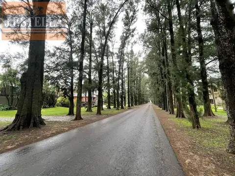 Terreno en Venta 37  mts Frente