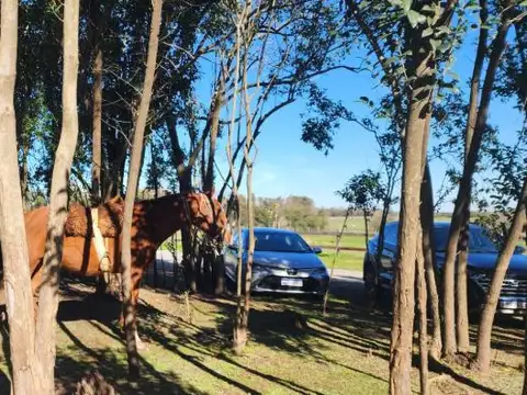 Terreno en Chacras de Zelaya - Pilar