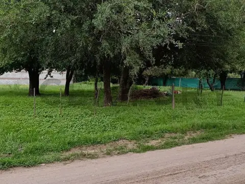 Las Moras 100, Piso 120