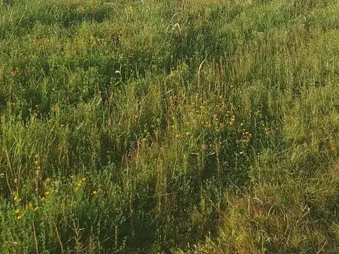 Terreno en Venta de 450,0 m2