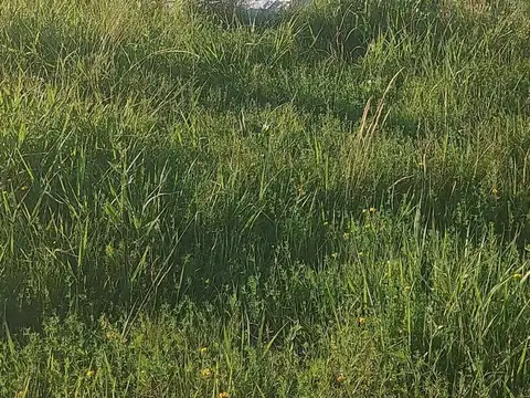 Terreno en Venta 15  mts Frente