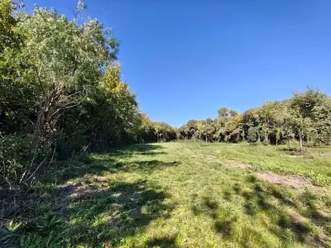 VENTA DE LOTES EN LUJAN CON EXCELENTE ARBOLEDA