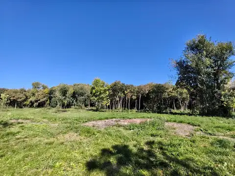 Terreno en Venta de 900,0 m2