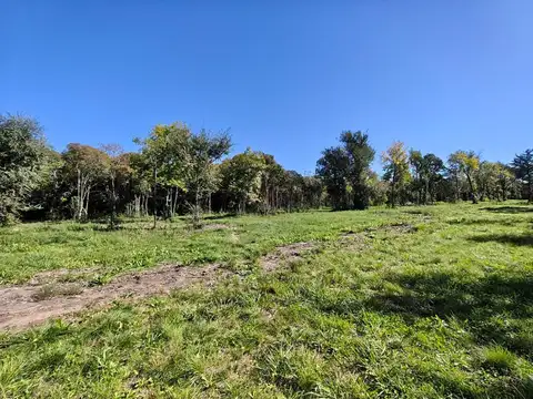 VENTA DE LOTES EN LUJAN CON EXCELENTE ARBOLEDA