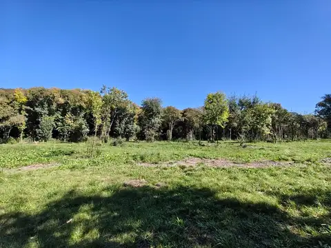 Terreno en Venta de 900,0 m2