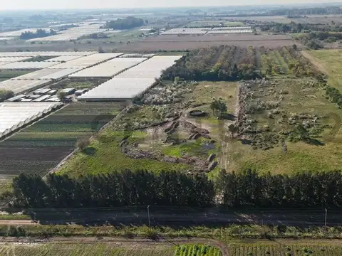 167 y 612 - LOTES EN VENTA ARANA PINARES DE ARANA