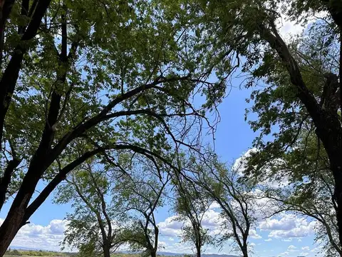 Terreno escriturado en venta