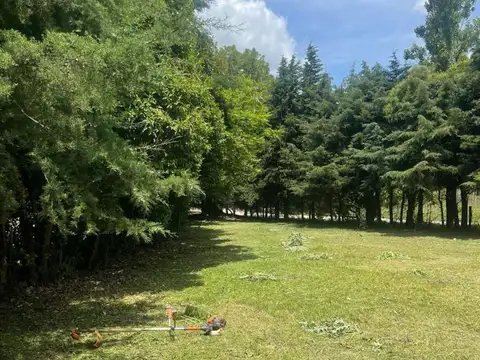 Av Ricardo Boesen  al 1200