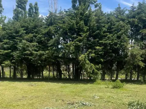 Terreno en La Union