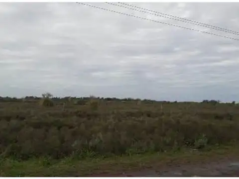 Campo en Excelente Ubicación - 160 ha