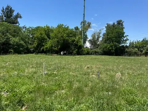 Savio y Ricardo Guiraldes