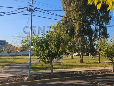 60 Granaderos , Piso 0