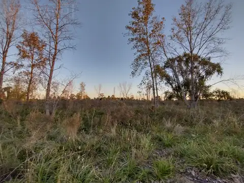 Venta. Lote 800 m2. Molino Blanco. Exaltación de la Cruz