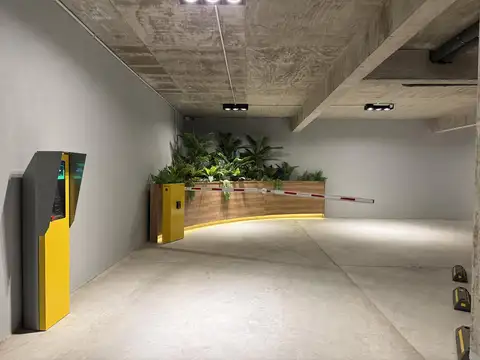 Local en Alquiler en Mar Del Plata, $ 3.000.000