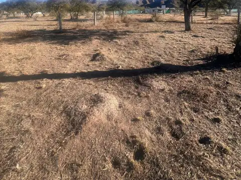 Terreno en Venta de 600,0 m2