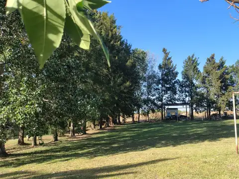 LOTE EN VENTA EN BERISSO "LA BALANDRA"