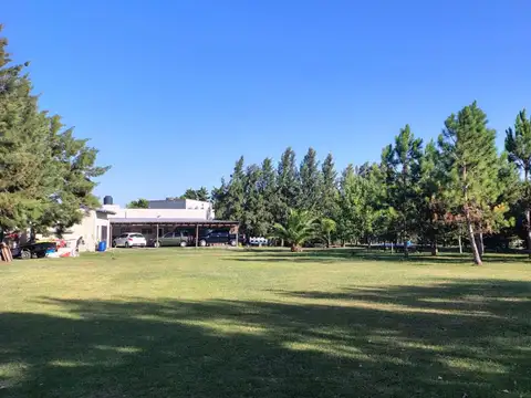170 e/ 740  y 743