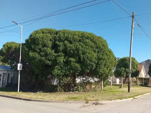 Terreno en Venta 10  mts Frente