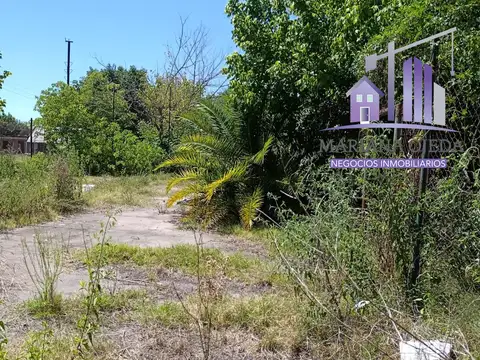 Benjamín Gorostiaga 1600