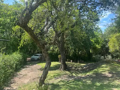 Calle Las Margaritas 100