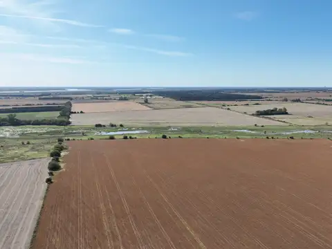 Campo en Venta de 52  ha