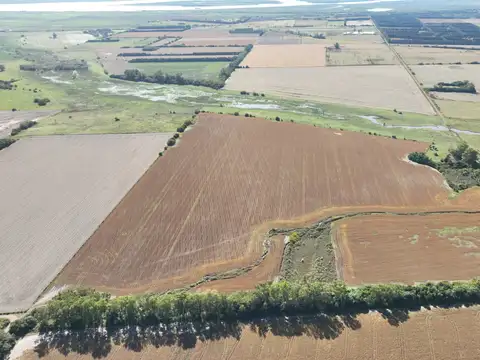 Campo en Venta Mixto