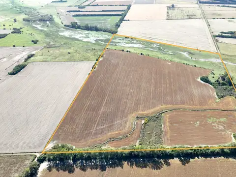 Campo Mixto en San Pedro