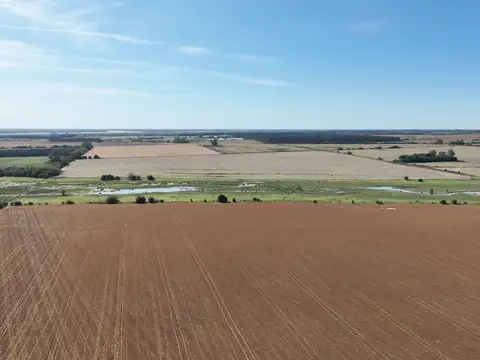 Campo en Venta de 52  ha