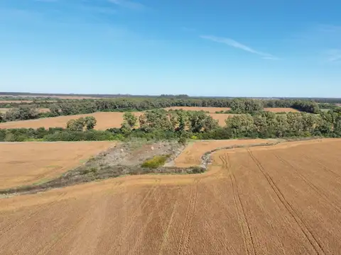 Campo Mixto en San Pedro