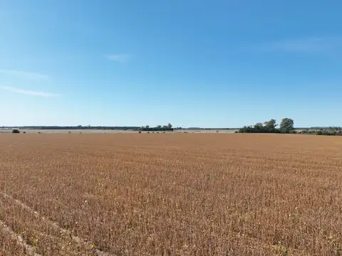 Campo Mixto en San Pedro