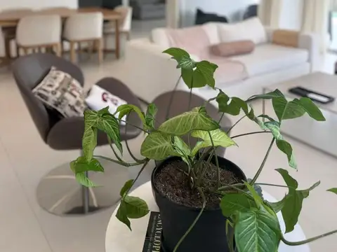 Casa en Alquiler de 3 dormitorios