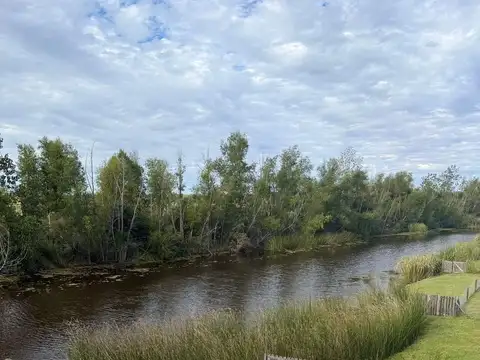 Acacias al lago
