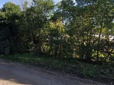 Terreno en Venta de 10000,0 m2
