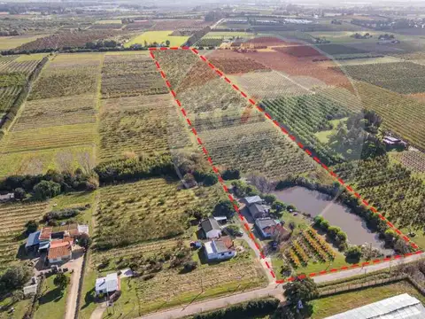 Camino los Pirinchos 2300