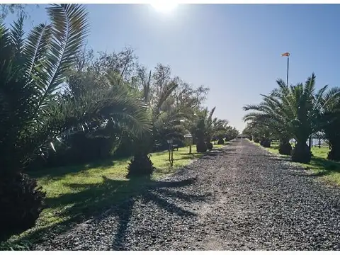 TERRENO EN BARRIO CERRADO SERCA DEL RIO
