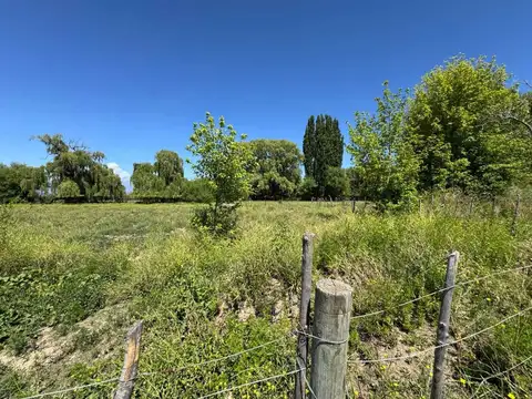 Carril Zapata y Desvío de carga pesada