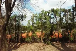 Actividades deportivas golf, tenis, equitacion en Club de Polo La Cañada en G.B.A. Zona Oeste