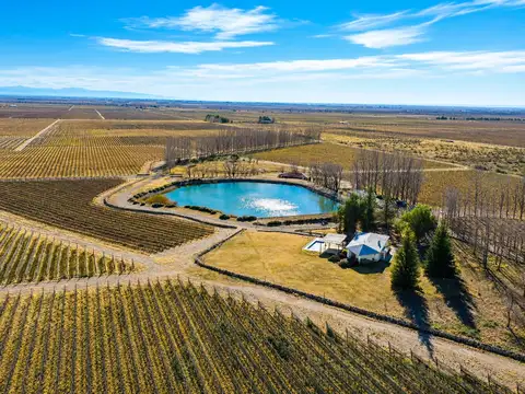 Finca en venta 150 ha – valle de uco, mendoza