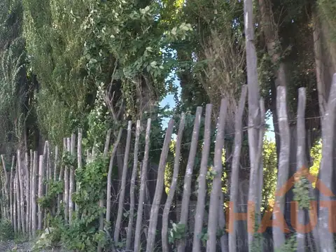 Terreno en Venta en Plottier, USD 1.500.000